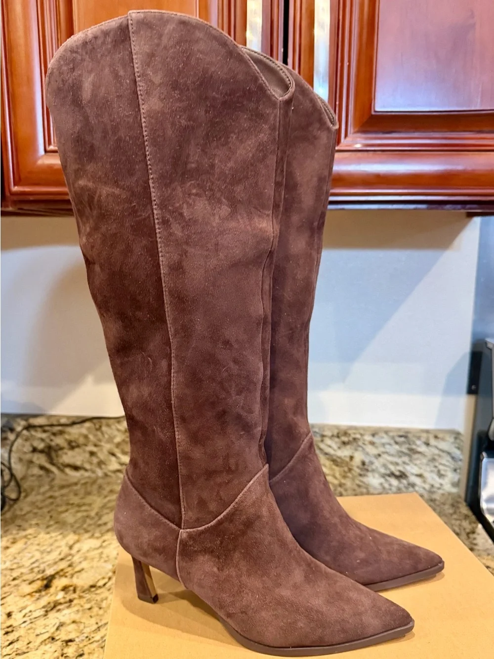 Steve Madden Tall Pointed-Toe Under The-Knee Suede Boots in Dark Brown
